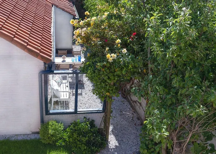 B&B Duinblick