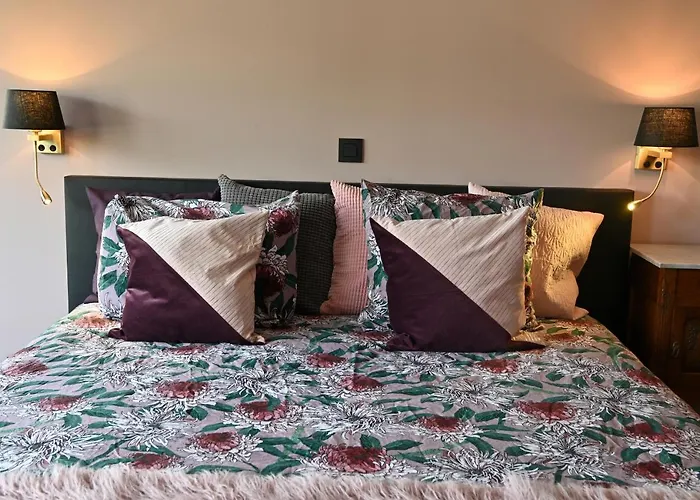 Nova Zembla Bed and Breakfast Mechelen