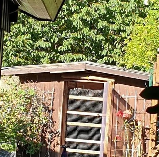 Ferienhaus Nr. 60 Im Ferienpark Am Twistesee Bad Arolsen