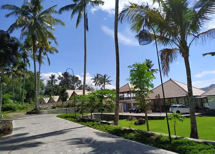 Palmterrace