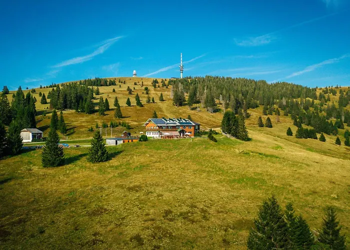 Berggasthof zur Todtnauer Hütte Feldberg 