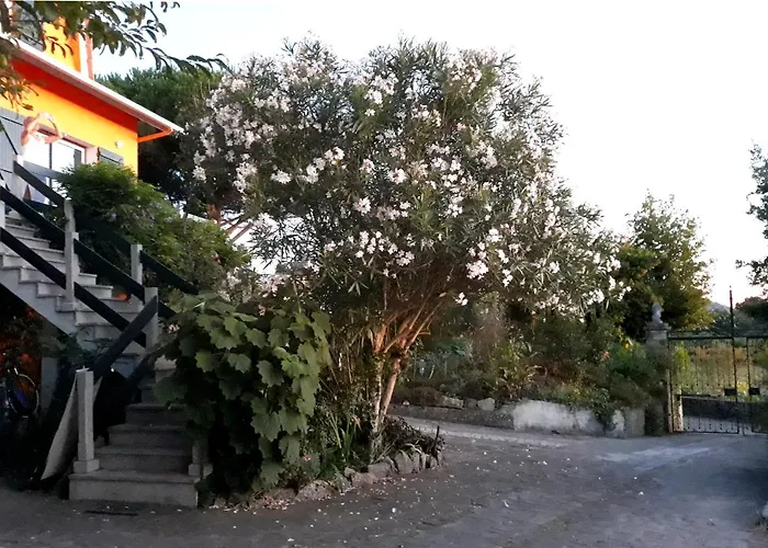 Casa Gwendoline - Albergue / Hostel / Al - Caminho Da Costa Vila Nova de Cerveira