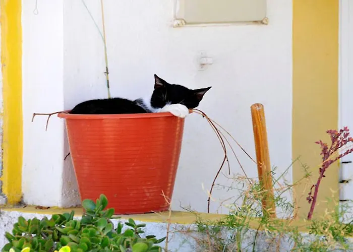 2 Bedroom Villa In Carvoeiro With Heated Pool Walking Distance To Resort And Beach