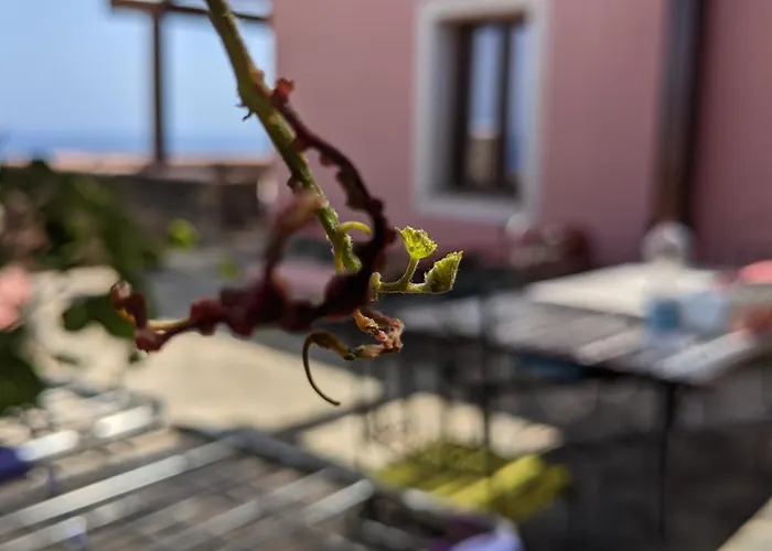 Horizon Pantelleria