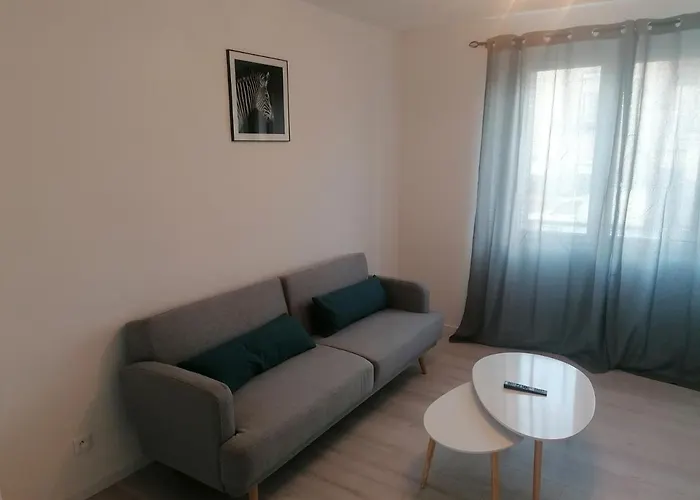 SWEET Appartment avec Wifi et parking Clermont-Ferrand