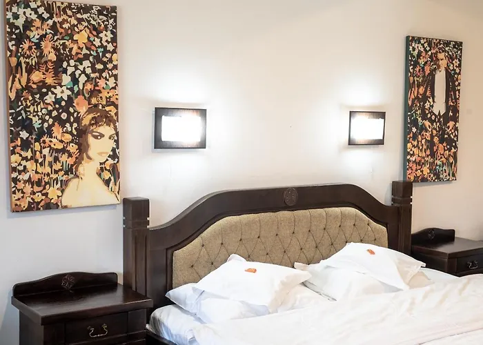 Bran (Brasov) Hotels