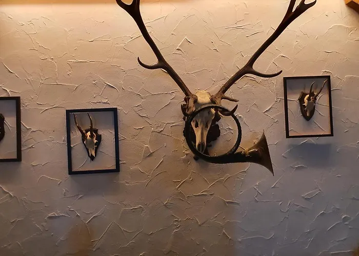 Hotel Waldhorn Jungholz