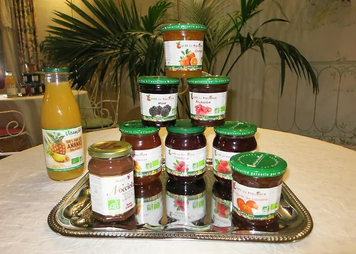 Bed and Breakfast Le Vendome Cote Jardin Tours