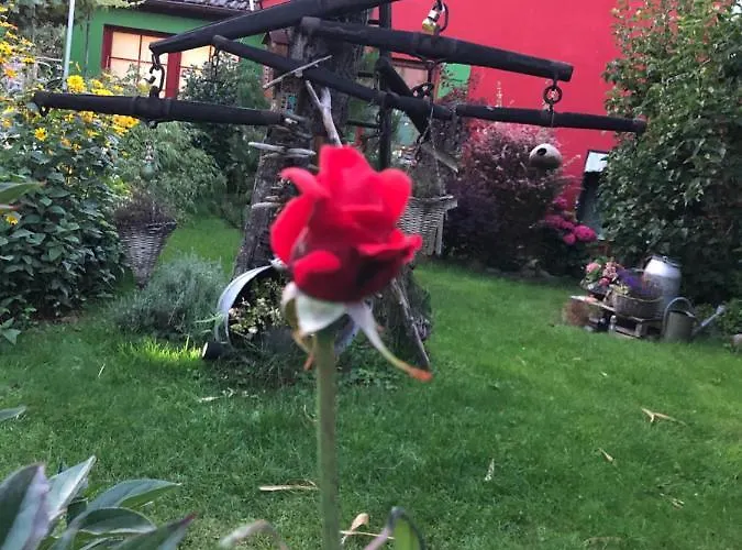 Zur Alten Filmkiste Ostseeheilbad Ostseeheilbad Zingst