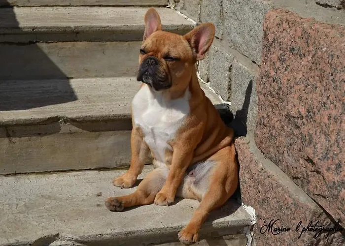 B&B Colvestre