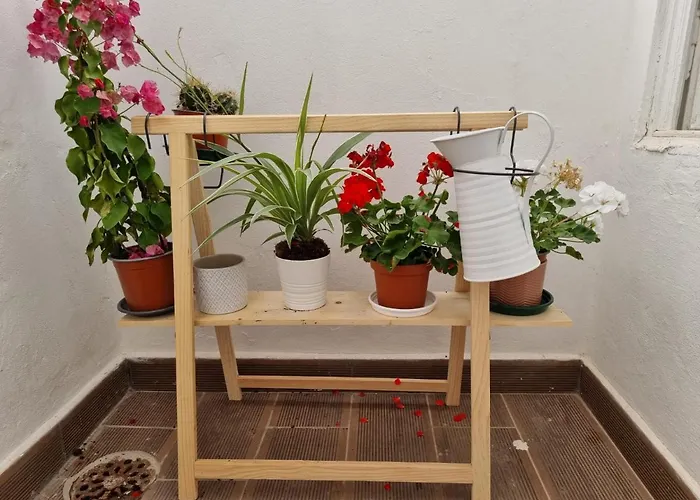 Dream Days Guesthouse Distretto di Distretto di Faro