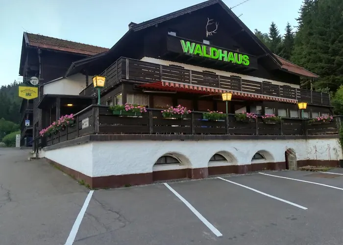 Hotel Waldhaus