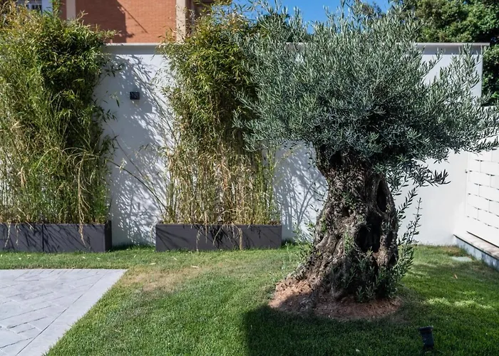 Grey House Guest House Luxury Latina