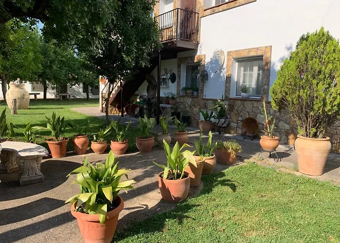 Hoteles en Coto Ríos