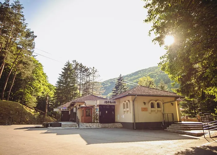 Hotels in Negotin