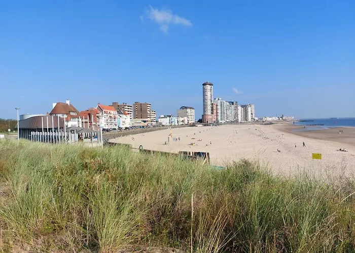 de Notenbalk aan Zee