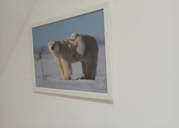 A 4 min du Zoo de Beauval La Maison à Partager Ch4 2ème étage Saint-Aignan 