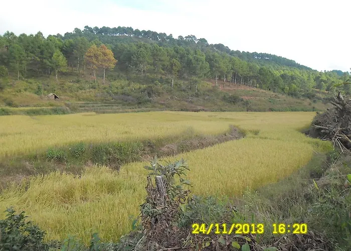 Pine Breeze Hotel Kalaw