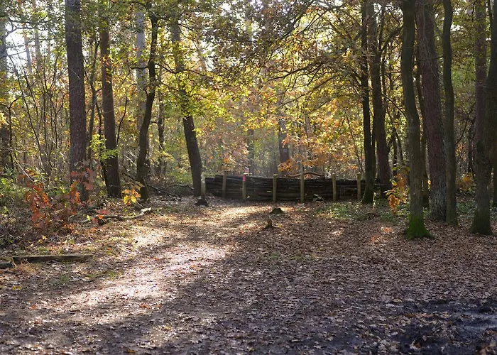 Oetervallei