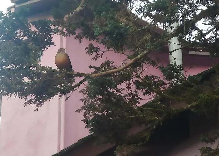 Pousada Gardenia Guest House Gramado