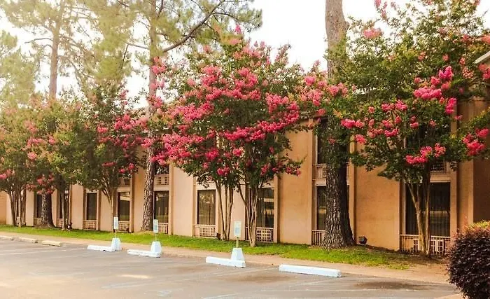 Regency Hotel & Conference Center Jackson