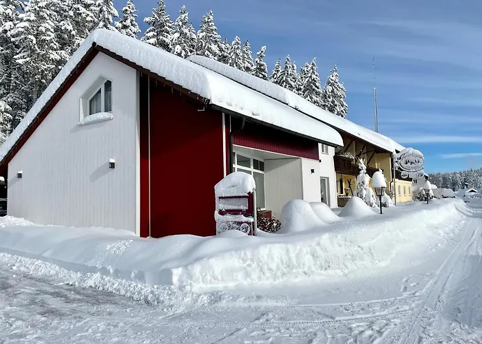 Hotels in Eisenbach (Breisgau-Hochschwarzwald)