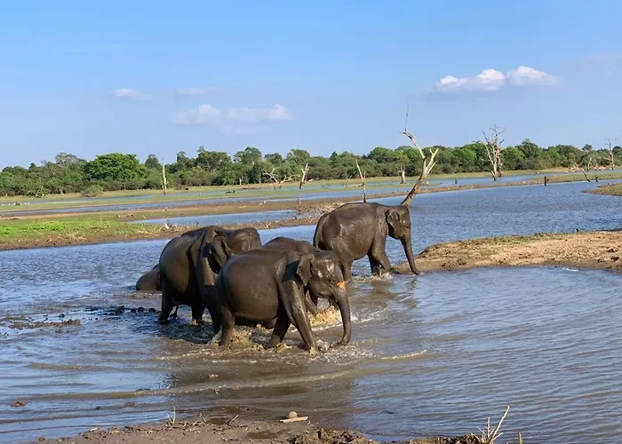 Elegant Lake Yala Safari House
