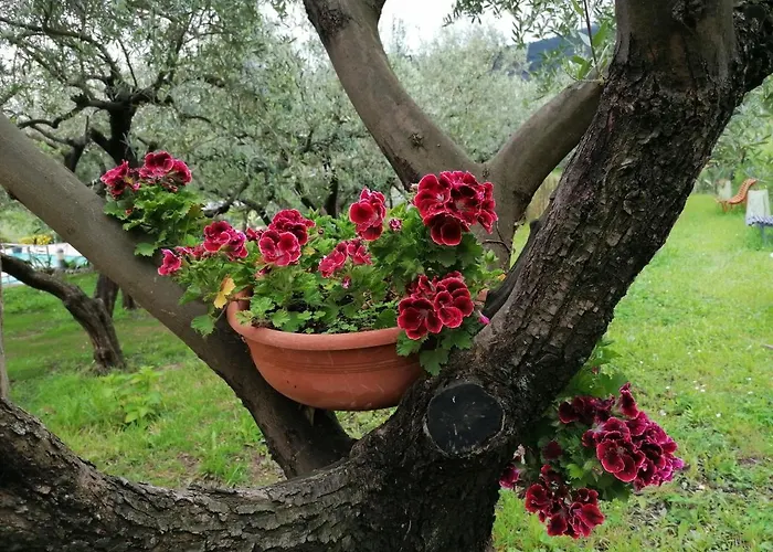 Oroverde Bergeggi