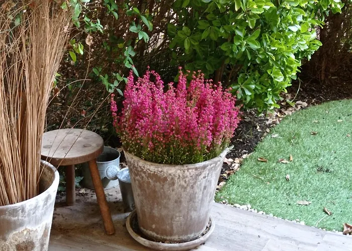 Homestay B&B La Bruyere Chez L'Habitant Versailles