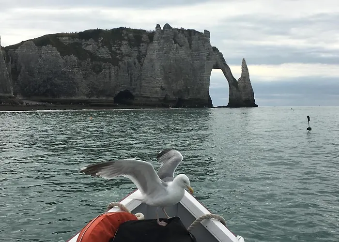 Chambre D'hôte Villa Maurice Étretat