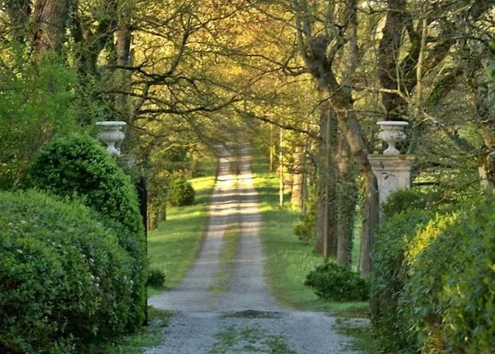Domaine De La Vivarie