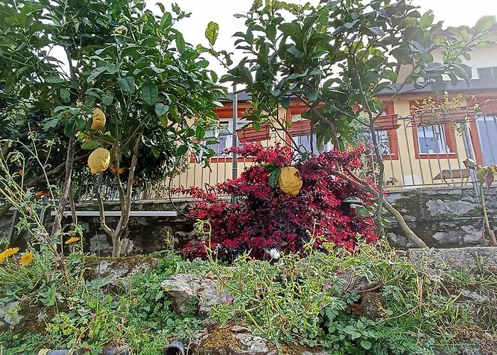 Villa Patrizia La Spezia
