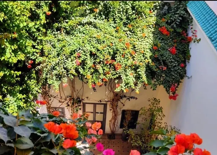 Bougainvillea Riad Marraquexe