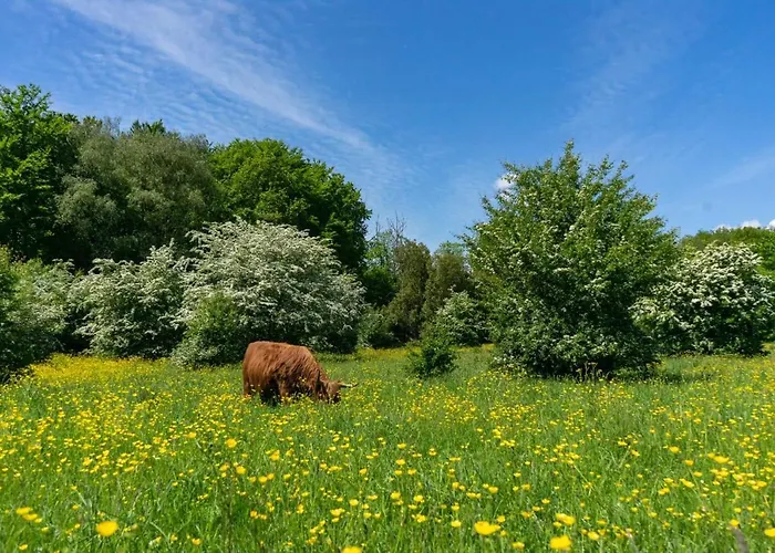 EuroParcs Het Amsterdamse Bos Hotel Amstelveen