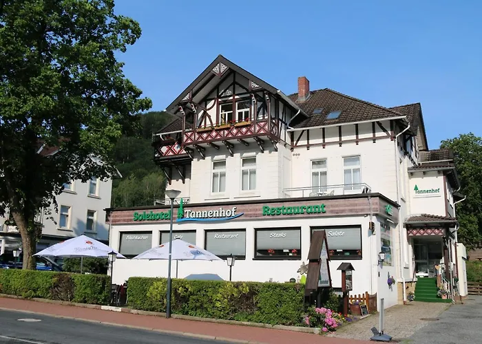 Zentrale Hotels in Bad Harzburg