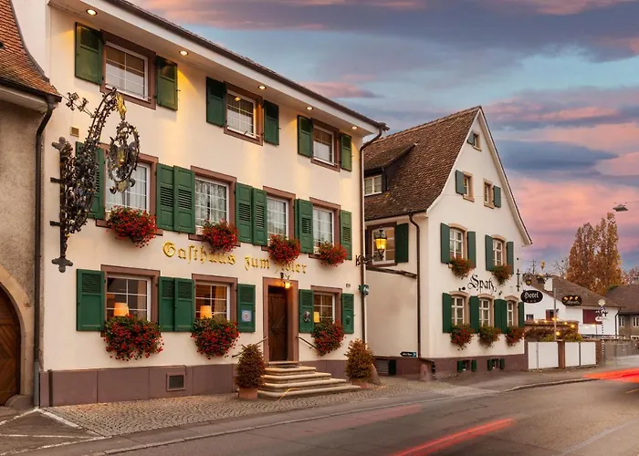 Hotel Adler - Weil am Rhein / Basel