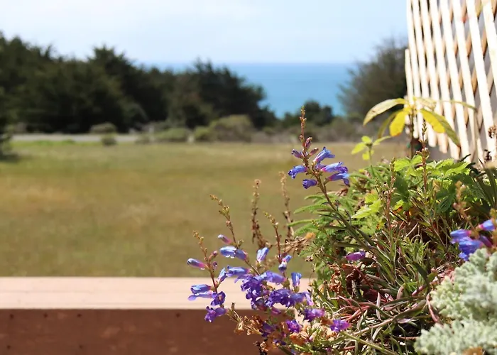 Cozy Getaway With Ocean View And Private Entrance! Hotel Gualala