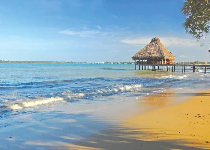 Playa Tortuga Hotel And Beach Resort