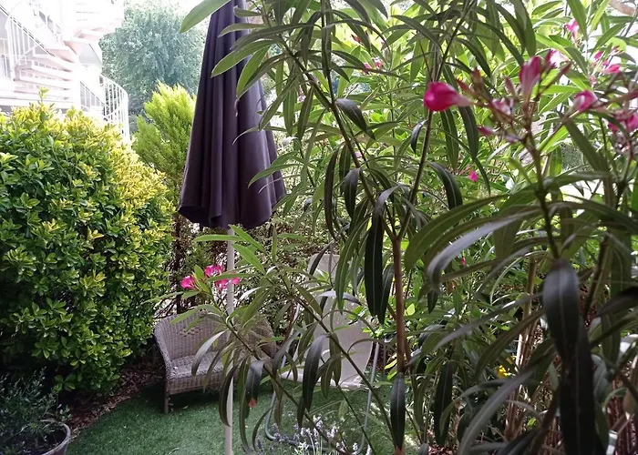 Homestay B&B La Bruyere Chez L'Habitant