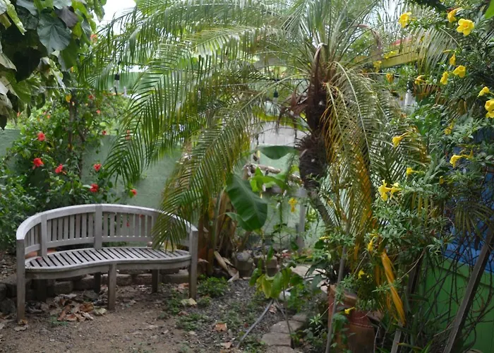 Palmetto Guesthouse Isla Culebra