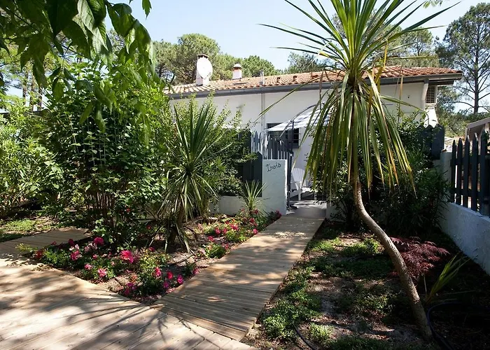Le Comptoir Des Sables