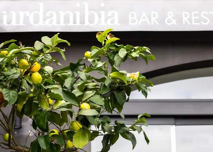 Hotel Urdanibia Park Irun