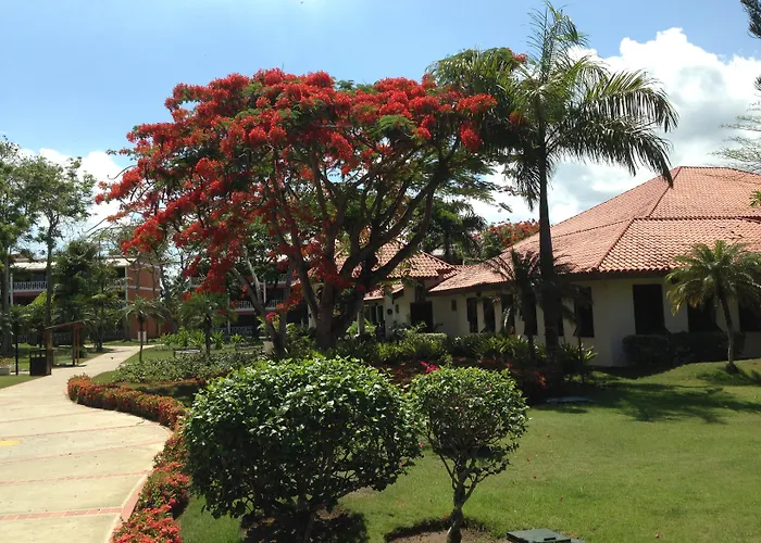 Bellevue Dominican Bay