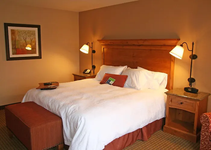 Buffalo Hotels