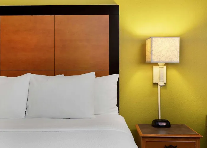 La Quinta By Wyndham St. Pete-Clearwater Airport Hotel Pinellas Park