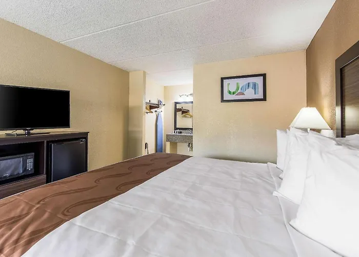 Forest City Hotels