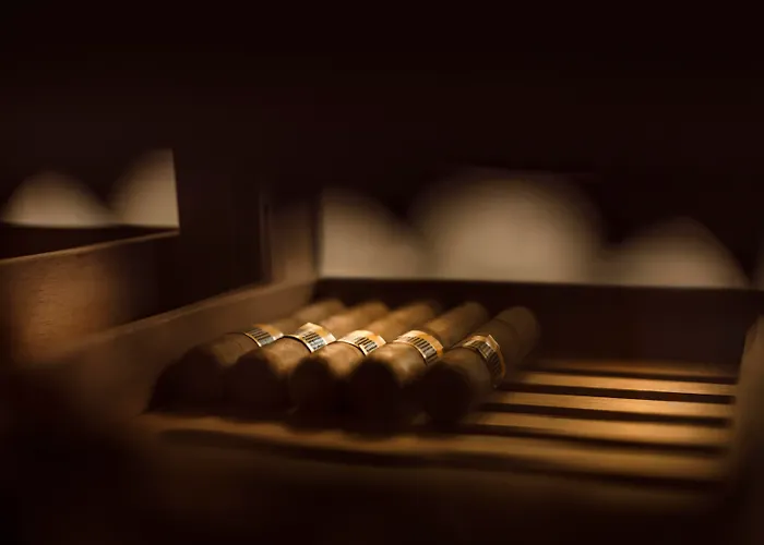 Hotel Ambasador - By Liburnia Hotels & Villas Opatija