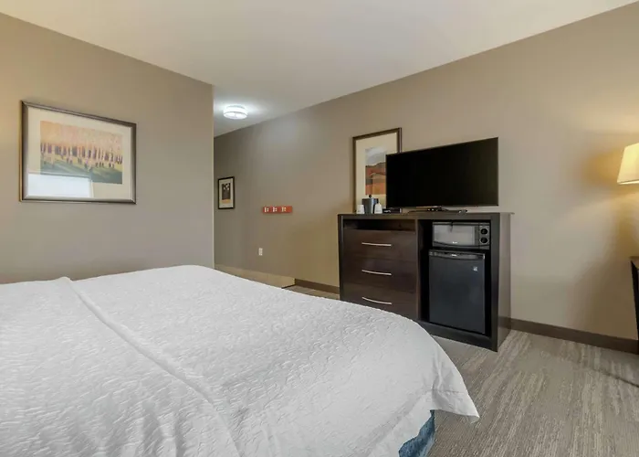 Hampton Inn Alamosa