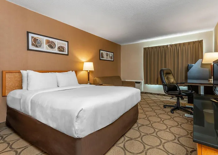 Comfort Inn South