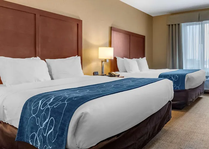 Comfort Suites Airport-University Bozeman